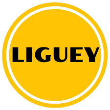 Interface de la plateforme Liguey Jobs